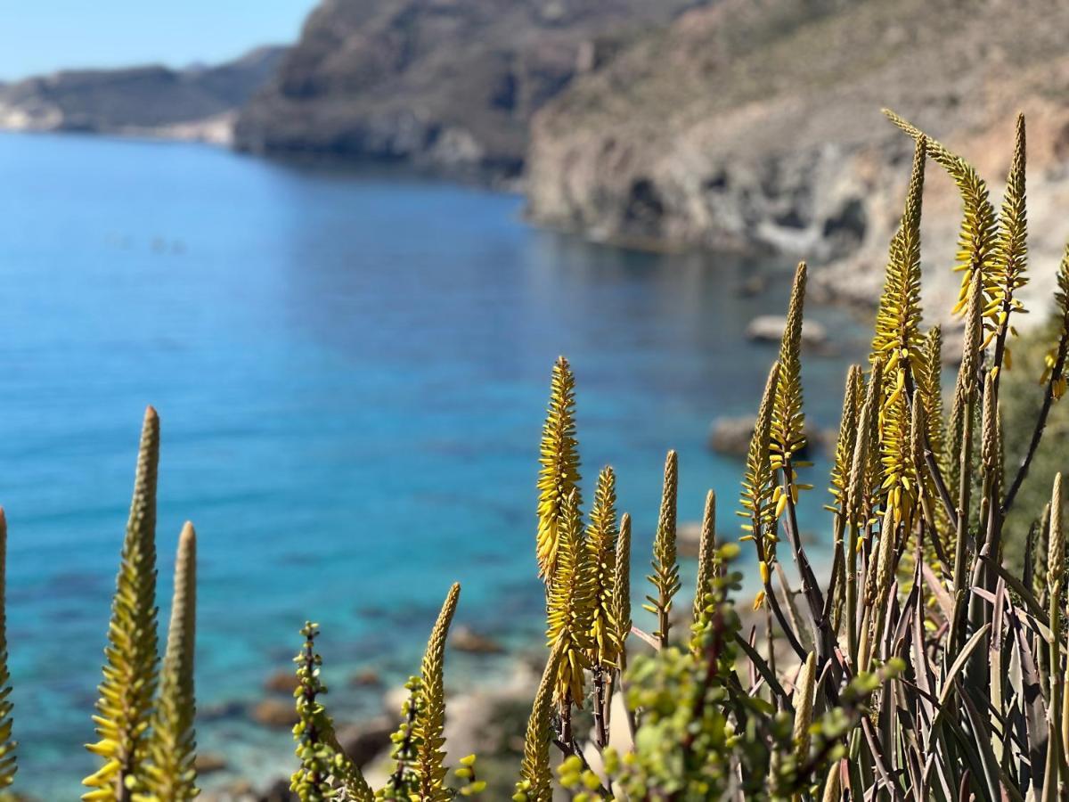 Apartamento De 3 Dormitorios A 60 M De La Playa En La Isleta, Cabo De Gata Ла-Ислета-дель-Моро Экстерьер фото